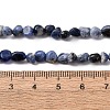 Natural Sodalite Beads Strands G-I389-A08-5