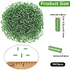 3000Pcs Glass Bugle Beads SEED-PA0001-13C-2