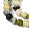 Natural Serpentine Beads Strands G-Q616-07A-4