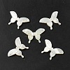 Natural White Shell Beads SHEL-M021-09B-2