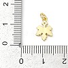 Brass Micro Pave Cubic Zirconia with Enamel Charms KK-G526-08G-3