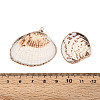 Electroplate Sea Shell Pendants SSHEL-T006-04-3