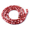 Natural Trochus Shell Beads Strands SHEL-S278-027D-2