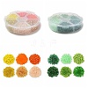 120G 120 Style Glass Seed Beads SEED-SZ0001-012A-1