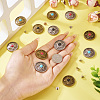12Pcs 6 Colors Zinc Alloy & Synthetic Turquoise Buttons BUTT-TA0001-18-5