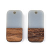 Resin & Walnut Wood Pendants RESI-S358-11C-2