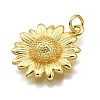 Rack Plating Brass Pendants KK-K401-56G-2