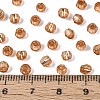 Silver Lined Glass Seed Beads SEED-T007-18A-12-4