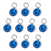 10Pcs Glass Rhinestone Charms STAS-TA0003-26E-1
