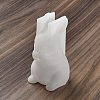 Rabbit DIY Silicone Rabbit Ornaments Molds SIMO-R010-03C-1