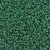 MIYUKI Round Rocailles Beads SEED-G007-RR0173-1