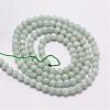 Natural Amazonite Beads Strands G-N0197-02-3mm-3