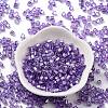 Glass Seed Beads SEED-M011-01A-22-2