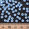 6/0 Glass Seed Beads SEED-T005-14-B20-5