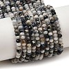 Natural Blue Spot Jasper Beads Strands G-D347-B06-2