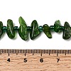 Natural Green Diopside Beads Strands G-L649-B01-01-5
