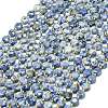 Natural Blue Spot Jasper Beads Strands G-C116-A73-02-2