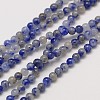Natural Gemstone Blue Spot Jasper Round Beads Strands LS-G-A130-3mm-21-1