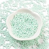 Baking Paint Glass Seed Beads SEED-A033-05R-2