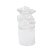 Natural Selenite Figurines DJEW-Q006-01D-1