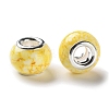 Brass Cores Acrylic European Beads OACR-M024-06P-04-2