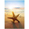 Starfish DIY Diamond Painting Kit PW-WG16FA6-01-1