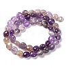 Natural Amethyst Beads Strands G-T047-A04-01-3