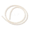 Natural Cultured Freshwater Pearl Beads Strands PEAR-C004-18B-3