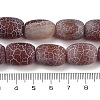 Natural Weathered Agate Beads Strands G-NH0047-B02-02-5