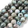 Natural Larimar Beads Strands G-P524-A02-05-1