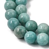 Natural Amazonite Beads Strands LS-G-F461-12-10mm-01A-4