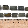Natural Labradorite Beads Strands G-C270-K19-02-5