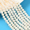 Natural Cultured Freshwater Pearl Beads Strands PEAR-RM241213-2-1