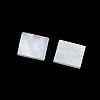White Shell Cabochons SSHEL-I007-11-4