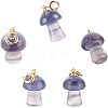  Carved Natural Fluorite Pendants G-NB0002-22-1