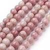 Natural Rhodonite Beads Strands X-G-G099-6mm-33-1