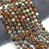 Natural Ocean Jasper Beads Strands G-K389-E70-01-2