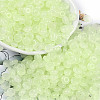 Transparent Colours Glass Seed Beads SEED-P008-01B-03-1