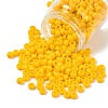 TOHO 3/0 Round Beads X-SEED-TR03-0042B-1