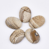 Natural Picture Jasper Cabochons X-G-S349-25A-01-1