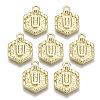Alloy Pendants PALLOY-N157-003U-NR-1