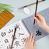   1 Book Chinese Calligraphy Brush Water Writing Magic Cloth Manuscript of Calligrapher AJEW-PH0004-92A-3