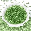 FGB Transparent Glass Seed Beads SEED-N013-01A-07-2