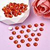 Preciosa® MAXIMA Crystal No Hotfix Flatback Stones Y-PRC-NSS6-90040-2