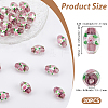 20Pcs Handmade Foil Glass Lampwork Beads LAMP-PA0001-63B-2