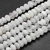 Natural Rainbow Moonstone Beads Strands G-O170-67D-1