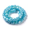 Electroplate Opaque Glass Beads GLAA-F108-10B-04-2