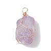 Raw Rough Natural Amethyst Copper Wire Wrapped Pendants PALLOY-JF02787-01-3