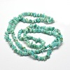 Natural Amazonite Chip Beads Strands G-M205-64A-2