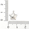 Non-Tarnish 304 Stainless Steel Charms STAS-P333-08P-3